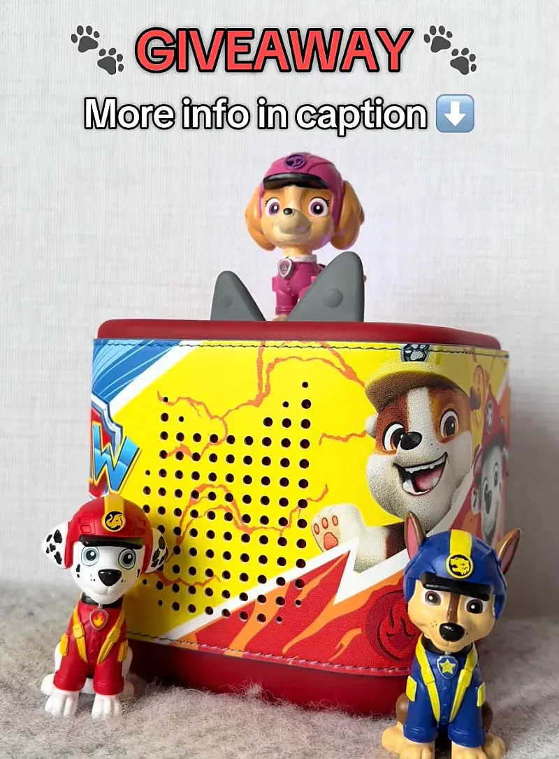 Win a Paw Patrol prize