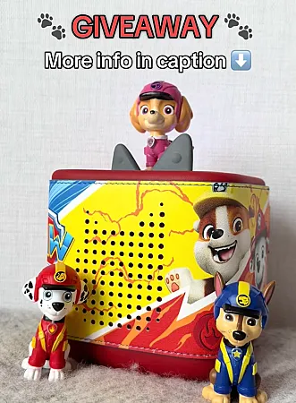 Prize image for Win a Paw Patrol prize