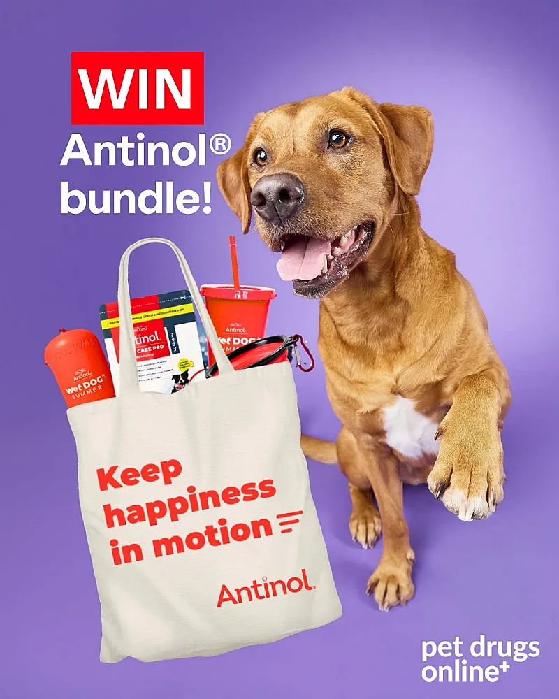 Win a Pet Antinol Bundle