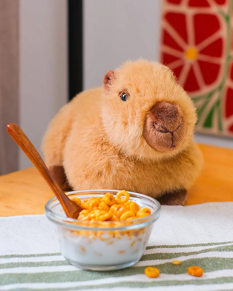 Win 3 Chattie Capybara Plushies