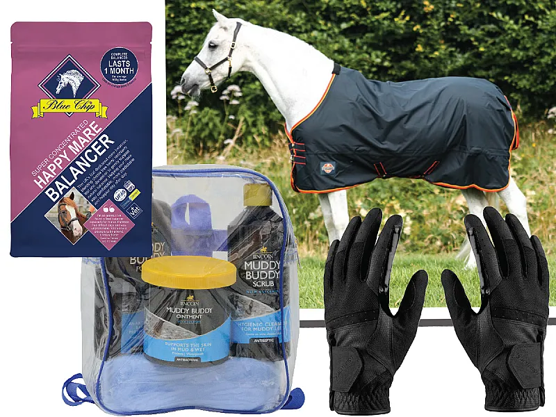 Win 1 of 15 Pony Related Prizes