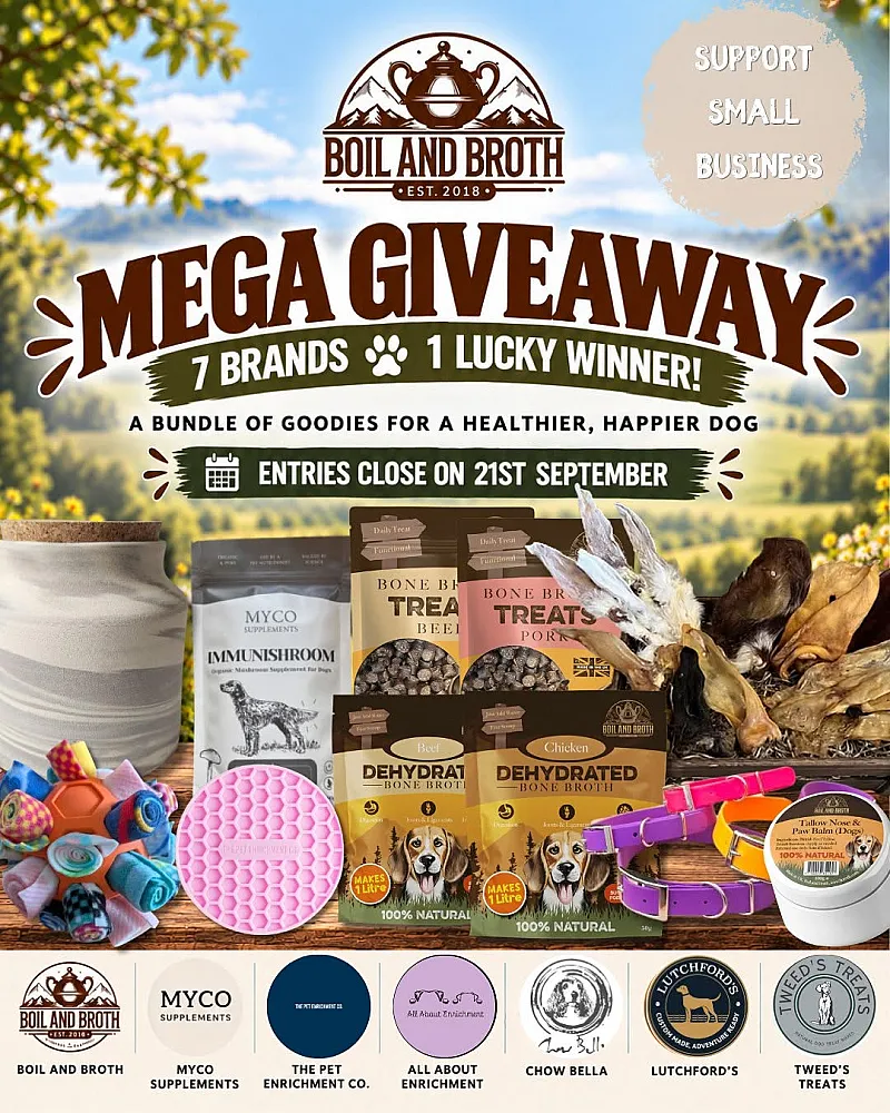 Win a Bundle of Doggy Treats