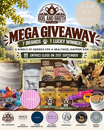 Prize image for Win a Bundle of Doggy Treats
