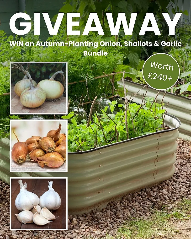 Win an Autumn-Planting Onion, Shallots & Garlic Bundle