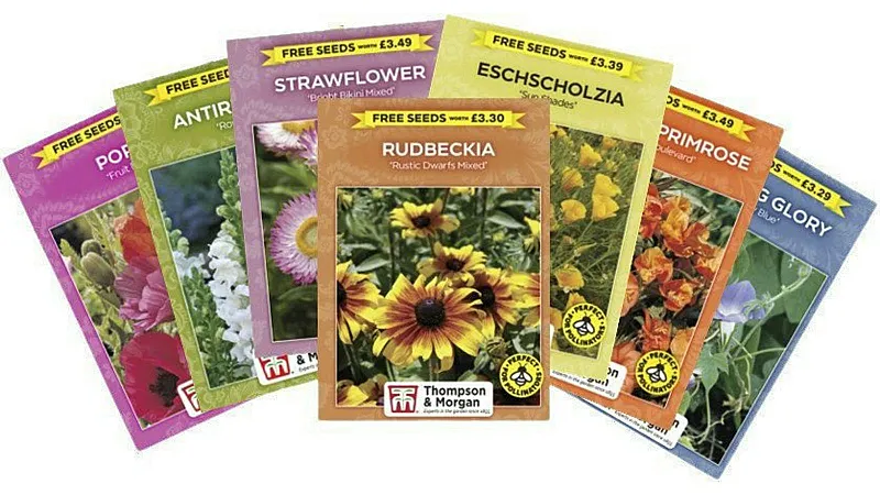 Prize image for Win 1 of 5 sets of 20 packs of assorted seeds