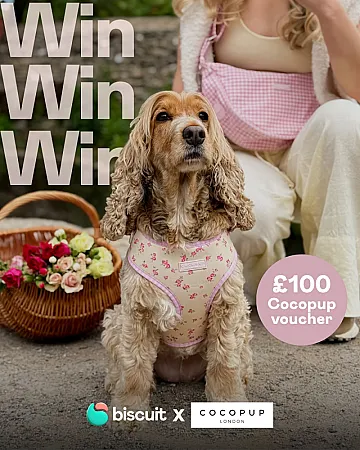 Prize image for Win a £100 Cocopup Voucher