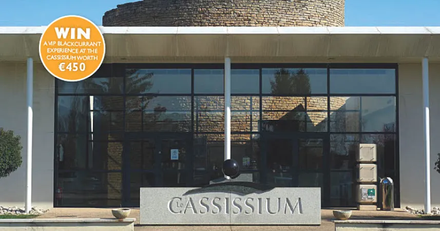 Prize image for Win a VIP Cassis Experience at the Cassissium