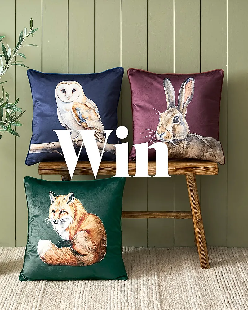 Win Three Cushions