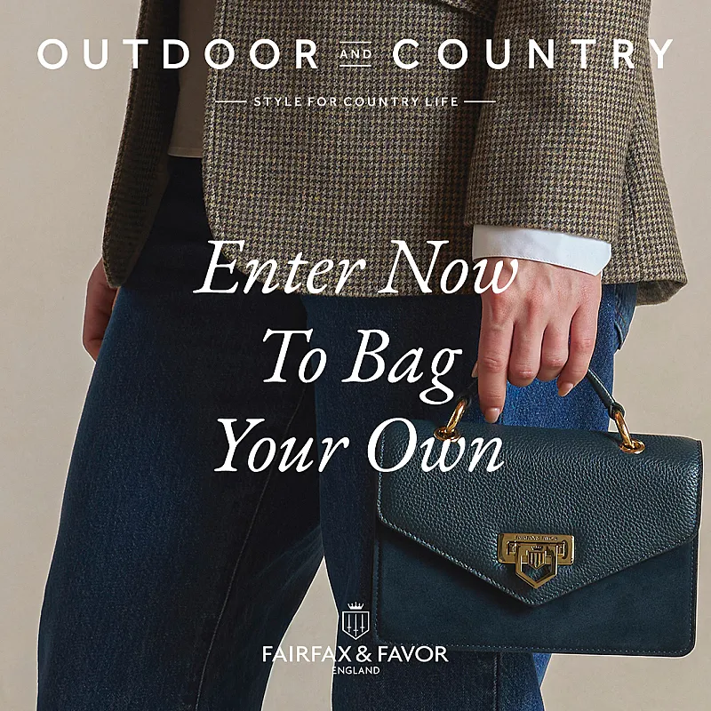Win a Fairfax & Favor Mini Loxley in the Brand New Teal Colourway