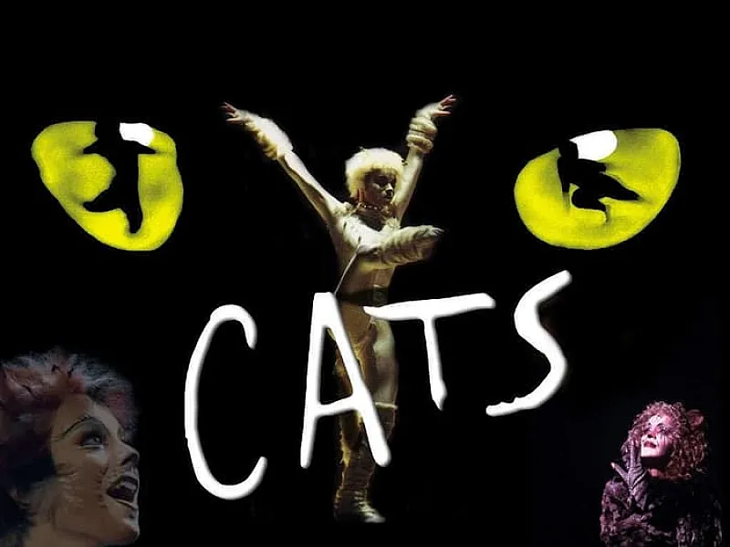 Win Tickets at a Theatre Tokens Venue for the UK Tour of Cats