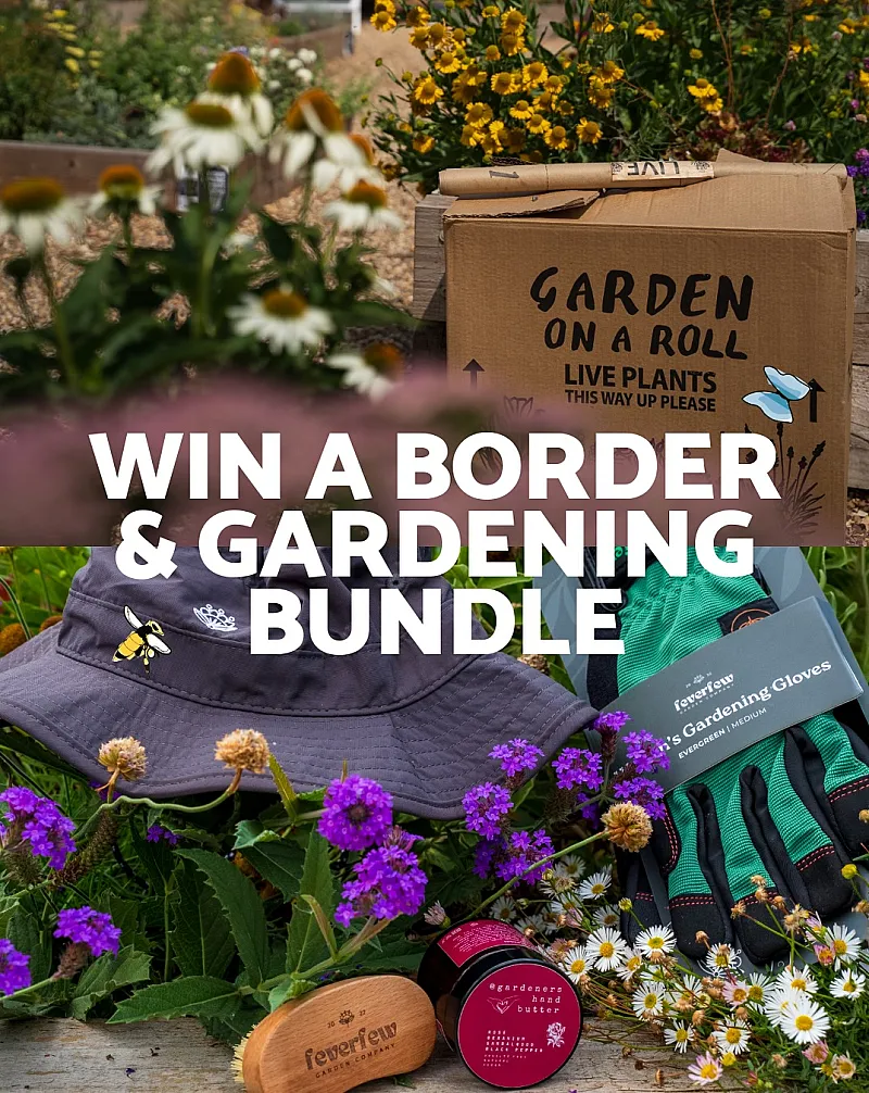 Win a Feverfew x Garden on a Roll bundle