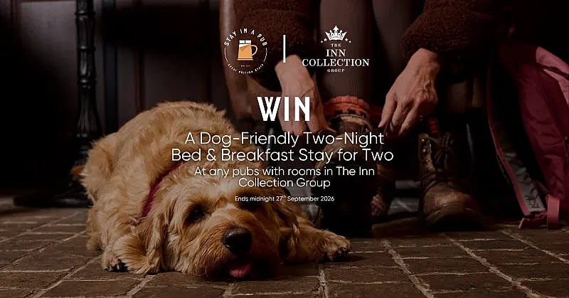 Win a 2-night dog-friendly stay for 2 at The Inn Collection Group