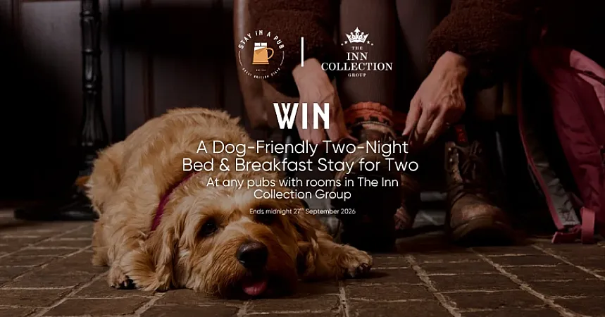 Win a 2-night dog-friendly stay for 2 at The Inn Collection Group