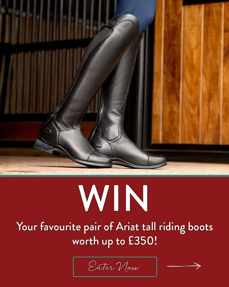Win your choice of Tall riding boot worth up to £350