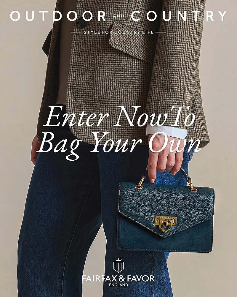 Win a Fairfax & Favor Mini Loxley in Teal