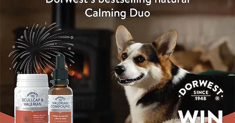 Win 1 of 5 Dorwest Calming Duos
