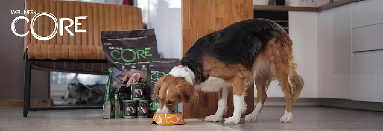 Prize image for Win a Personalised Wellness CORE Nutrition Hamper