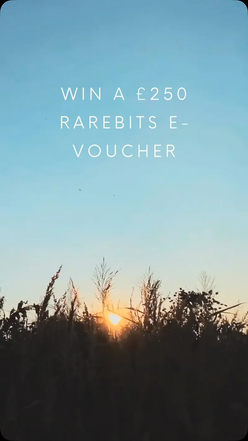 Win a £250 Rarebits E-Voucher