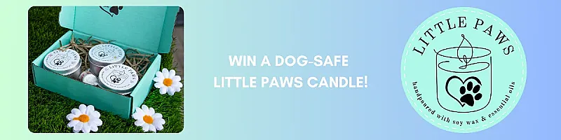 Win a Little Paws Dog-Friendly Candle