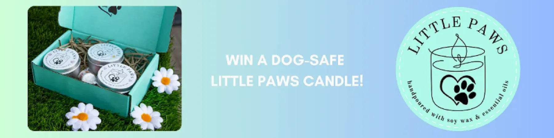 Prize image for Win a Little Paws Dog-Friendly Candle