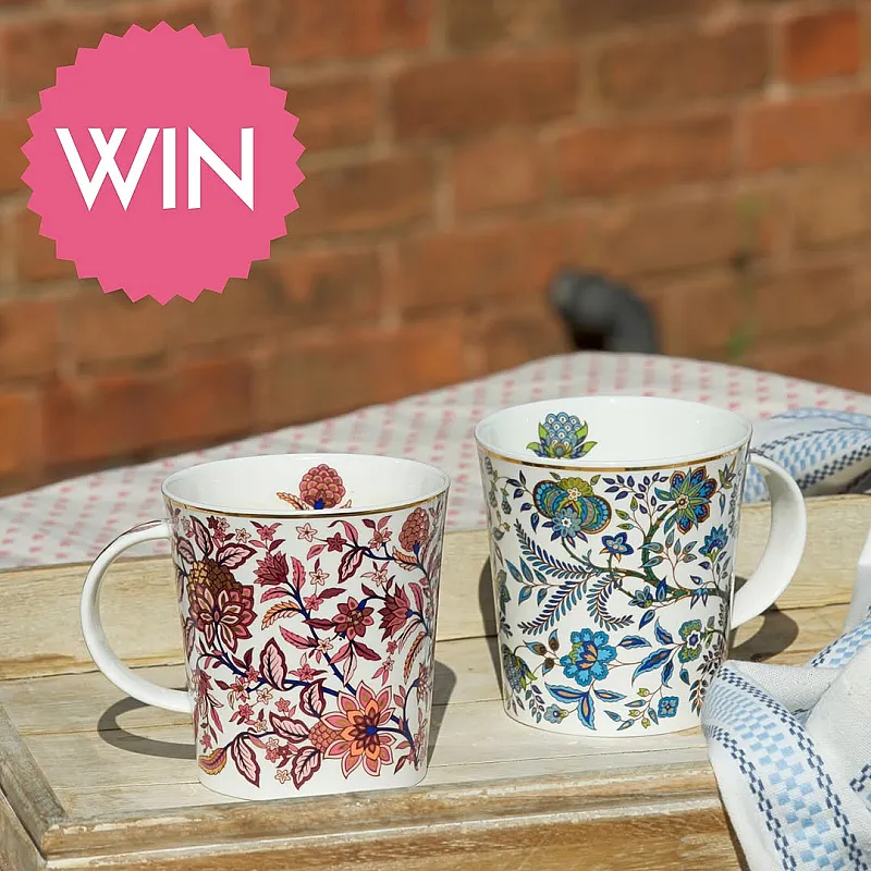 Win Arcadia Duo Teacups