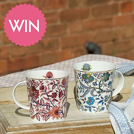 Prize image for Win Arcadia Duo Teacups