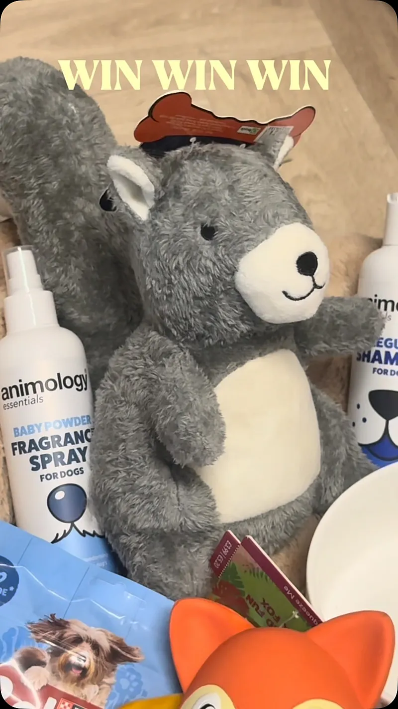 Win a Heritage Dog Bundle Packed with Treats for Your Furry Bestie!