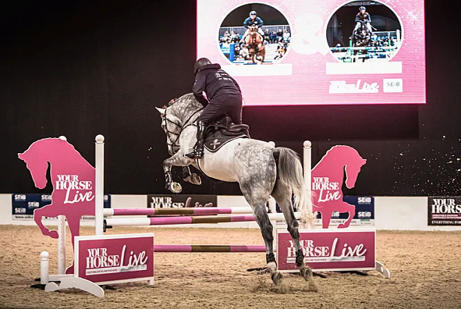 Prize image for Win Tickets to Your Horse Live!