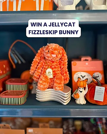 Prize image for Win a FIZZLESKIP Jellycat