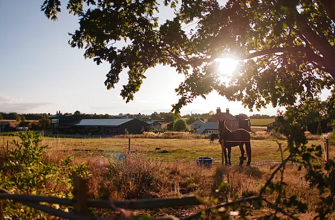 Prize image for Win a stay at Bonington Farm