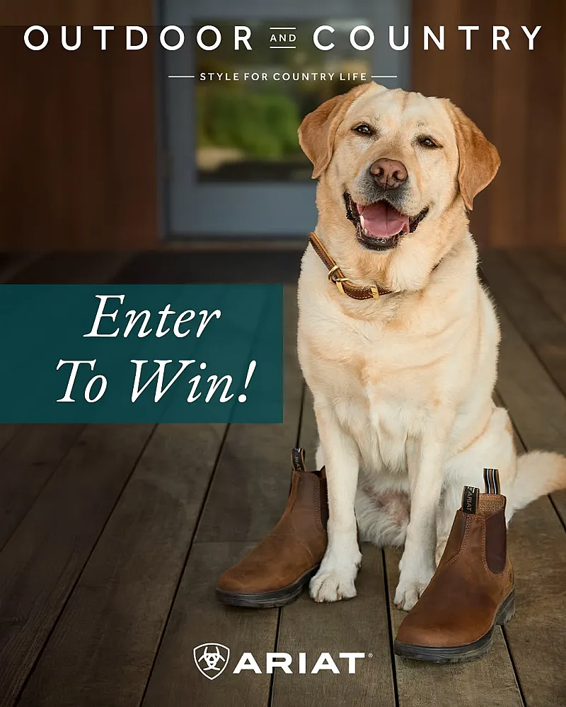 Win a pair of Men's and Women's Ariat Cooper Chelsea Boots