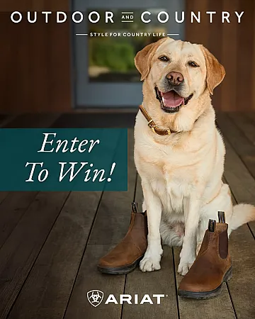 Prize image for Win a pair of Men's and Women's Ariat Cooper Chelsea Boots