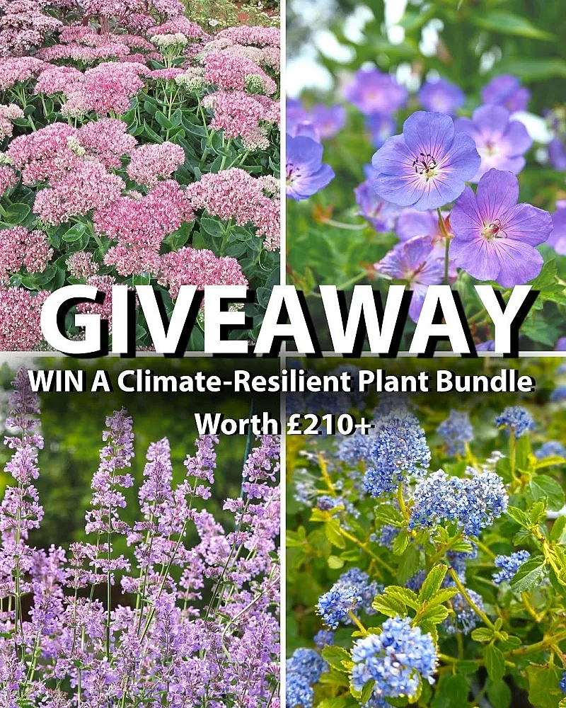 Win a climate-resistant plant bundle