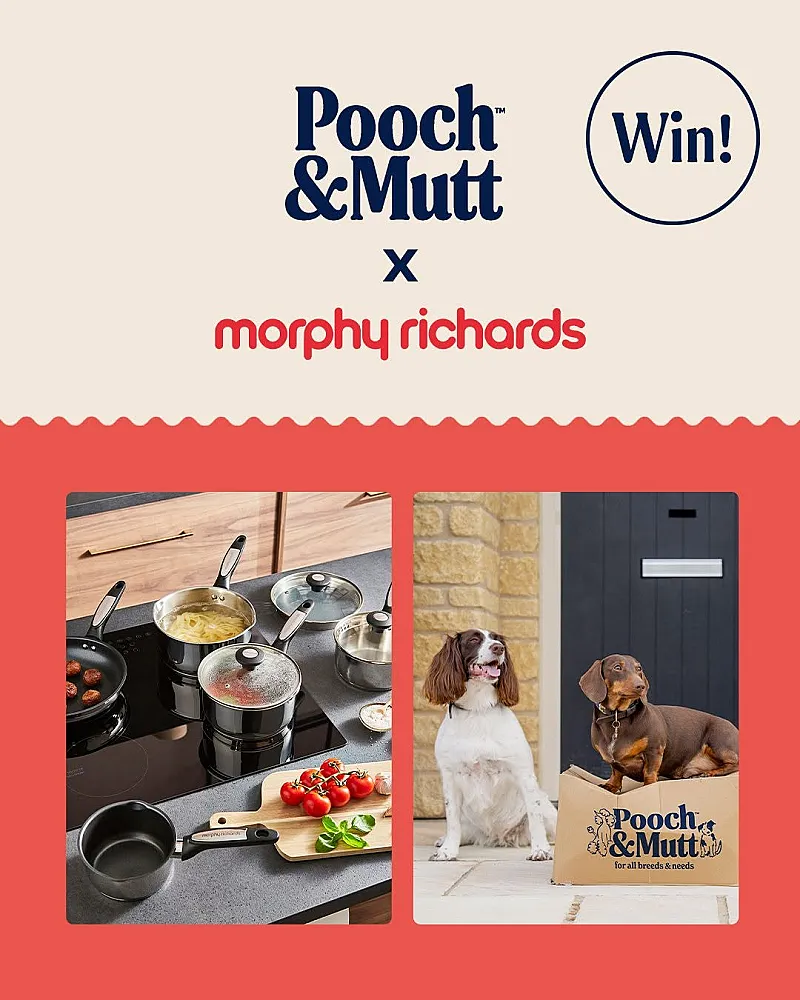 Win a Morphy Richards Stainless Steel Pan Set plus £100 Pooch & Mutt Voucher