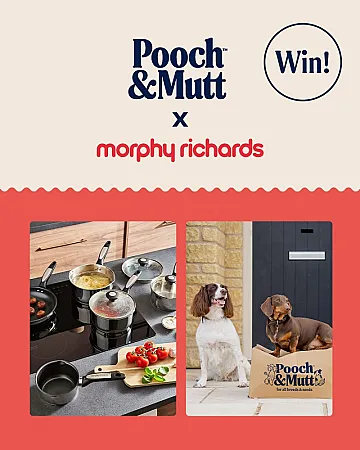 Prize image for Win a Morphy Richards Stainless Steel Pan Set plus £100 Pooch & Mutt Voucher
