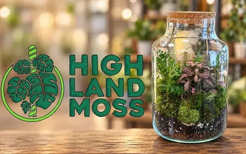 Win a Terrarium Kit from Highland Moss