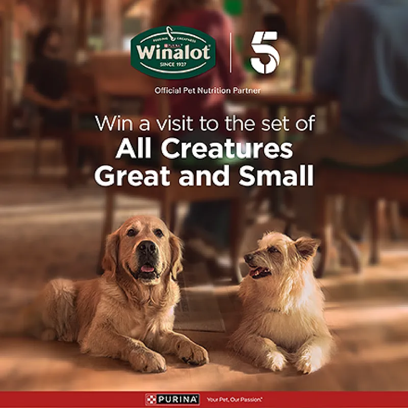 Win a 3-Night Yorkshire Stay + Visit to All Creatures Great and Small Set