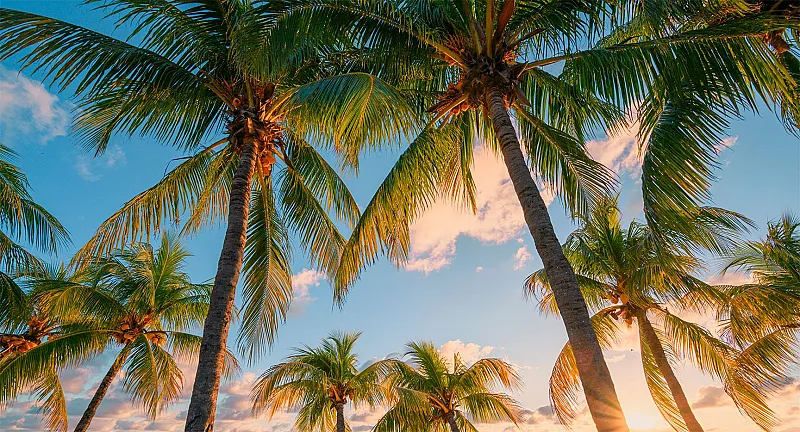 Win £2,000 To Spend With British Airways Holidays