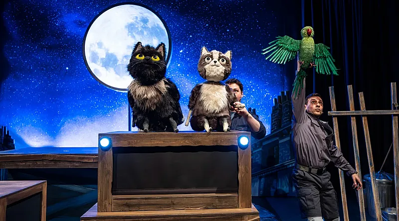 Win a Family Ticket to Toto the Ninja Cat and the Great Snake Escape