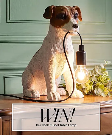 Prize image for Win a Joe Browns Jack Russel Table Lamp!