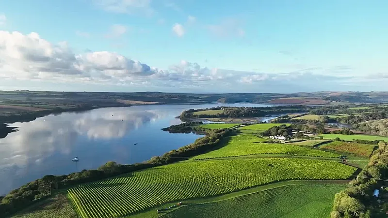 Win a tour and tasting voucher for two at Shillingham Vineyard