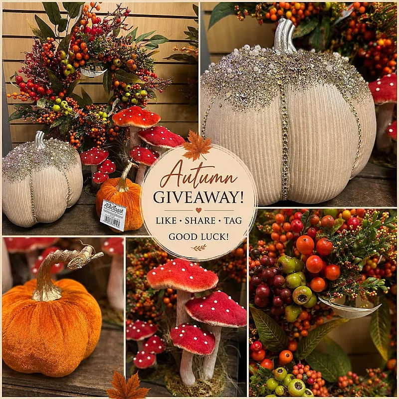 Win an Autumn Display