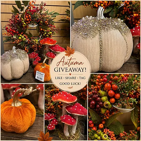 Prize image for Win an Autumn Display