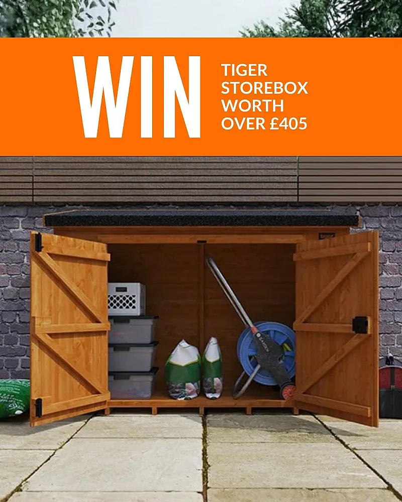 Win a Tiger Storebox worth over £405