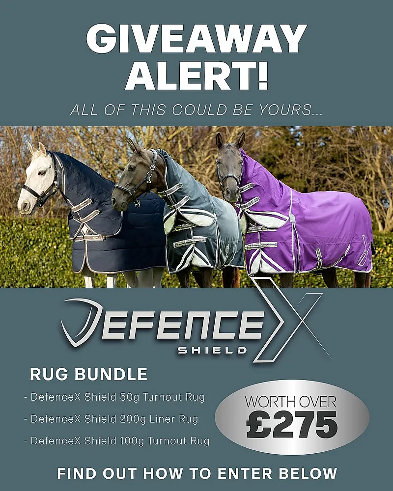 Win 3 DefenceX Shield rugs