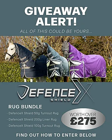Prize image for Win 3 DefenceX Shield rugs