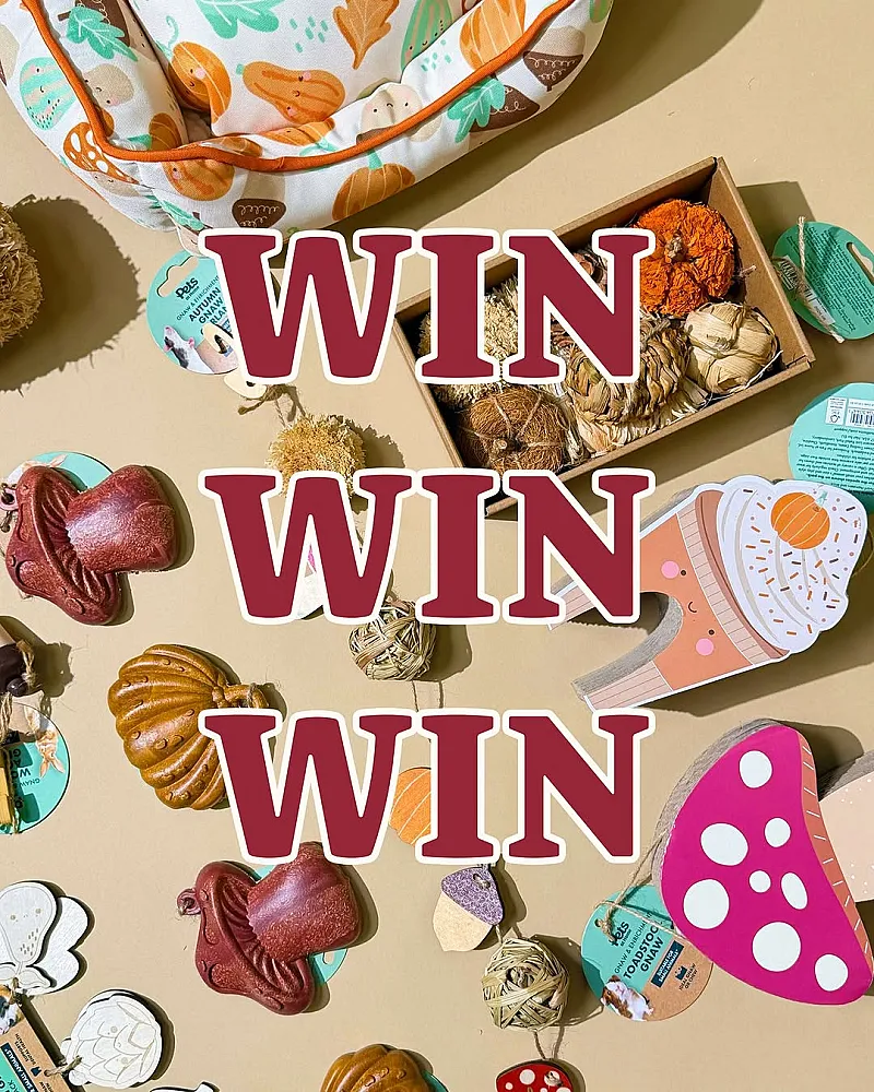 Win an Autumn Pet Bundle