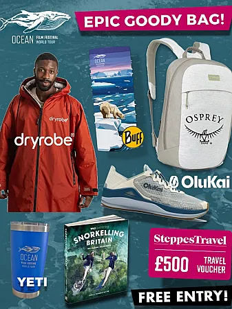 Prize image for Win the 2026 UK Ocean Film Festival Goody Bag and a £500 Travel Voucher