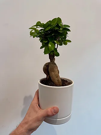 Prize image for Win plant-related prizes from Oh Shoot!