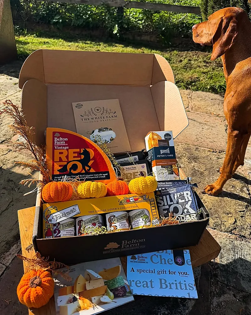 Win a Halloween Hamper of Cheeses and Tracklements Products